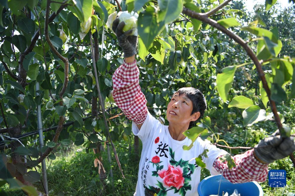 注册就送38无需申请